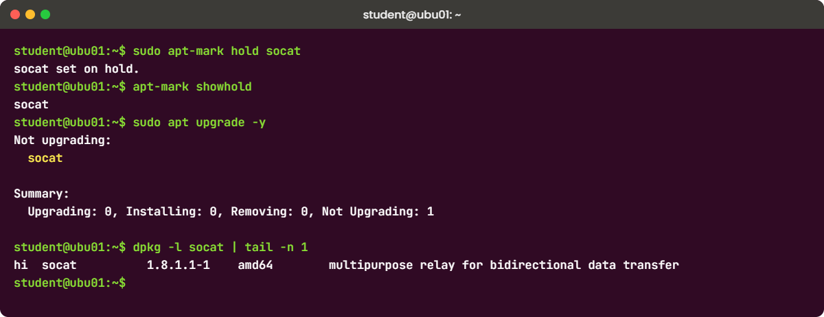 APT package management lab: apt-mark hold and apt upgrade on ubu01