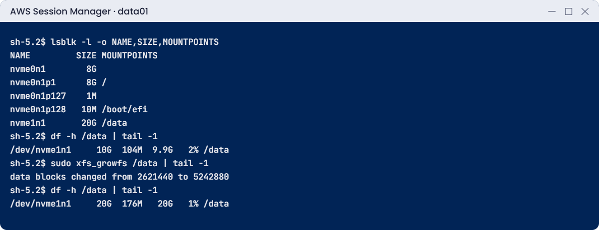 AWS EBS volumes lab: the 20 GiB disk and xfs_growfs