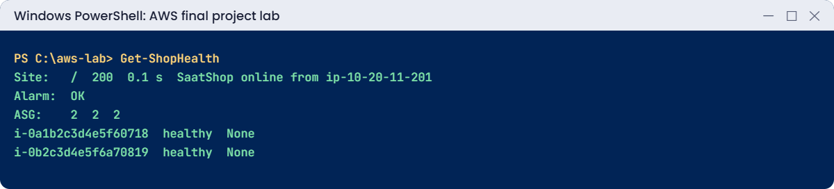 AWS final project lab output: healthy SaatShop online