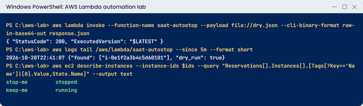 AWS Lambda automation lab output: dry run, logs and only the tagged server stopped