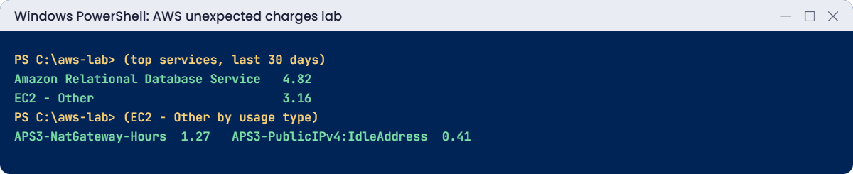AWS unexpected charges lab output: top services and usage types