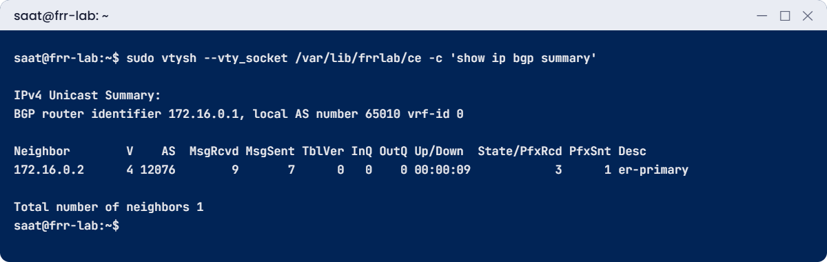 ExpressRoute simulated BGP summary in FRR