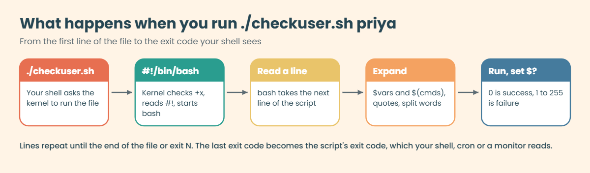 Bash scripting basics: how a script runs, from the shebang to the exit code