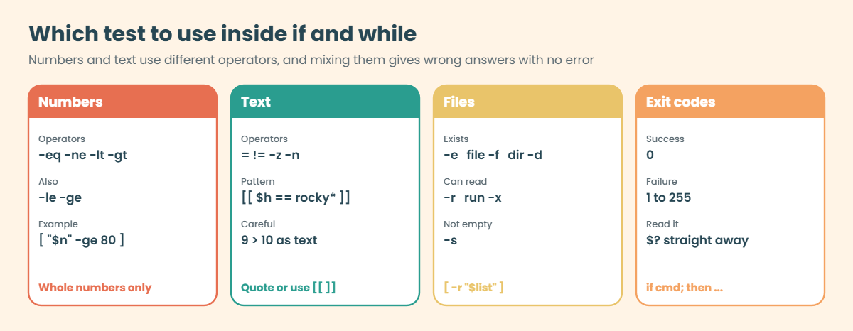 Bash scripting basics: test operators for numbers, text, files and exit codes