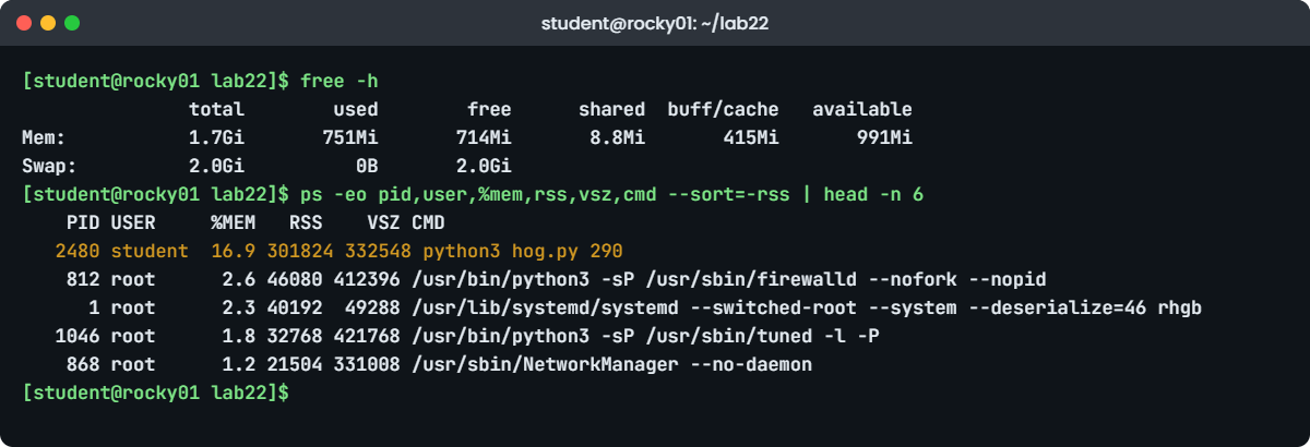 Check memory usage in Linux lab: free -h and ps sorted by memory on rocky01