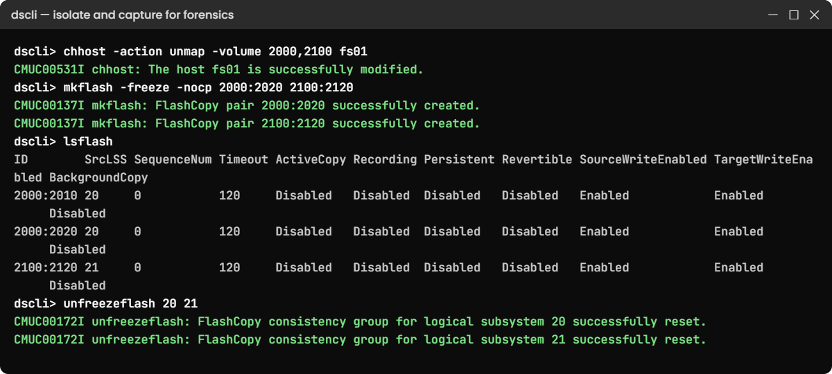 Practice shell: unmap the file server LUNs and take a frozen FlashCopy for forensics