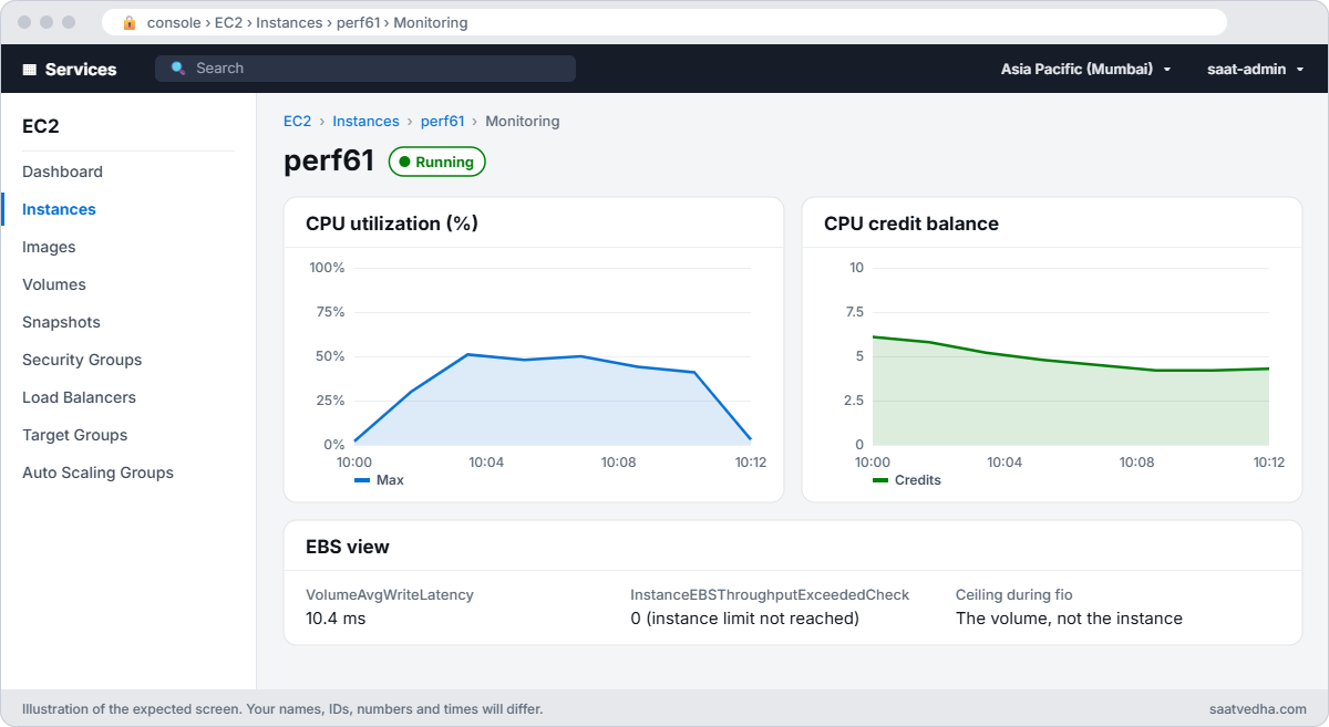 EC2 instance perf61 monitoring with CPU and credit balance charts and no EBS limit reached