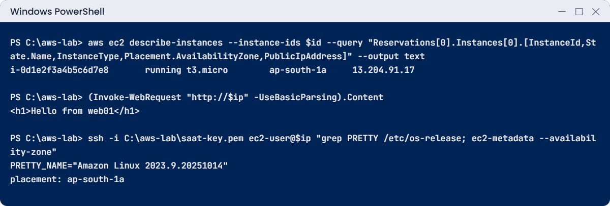 Launch EC2 instance lab: web01 running, web page and SSH check