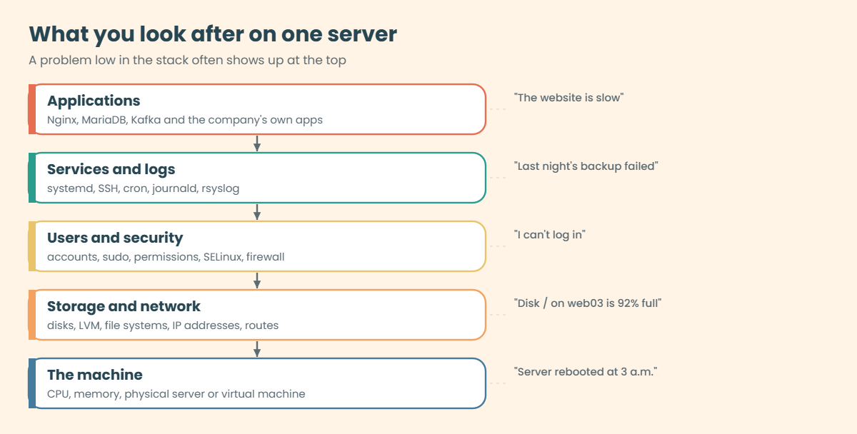 Linux administrator responsibilities on one server: applications, services, users and security, storage and network, the machine