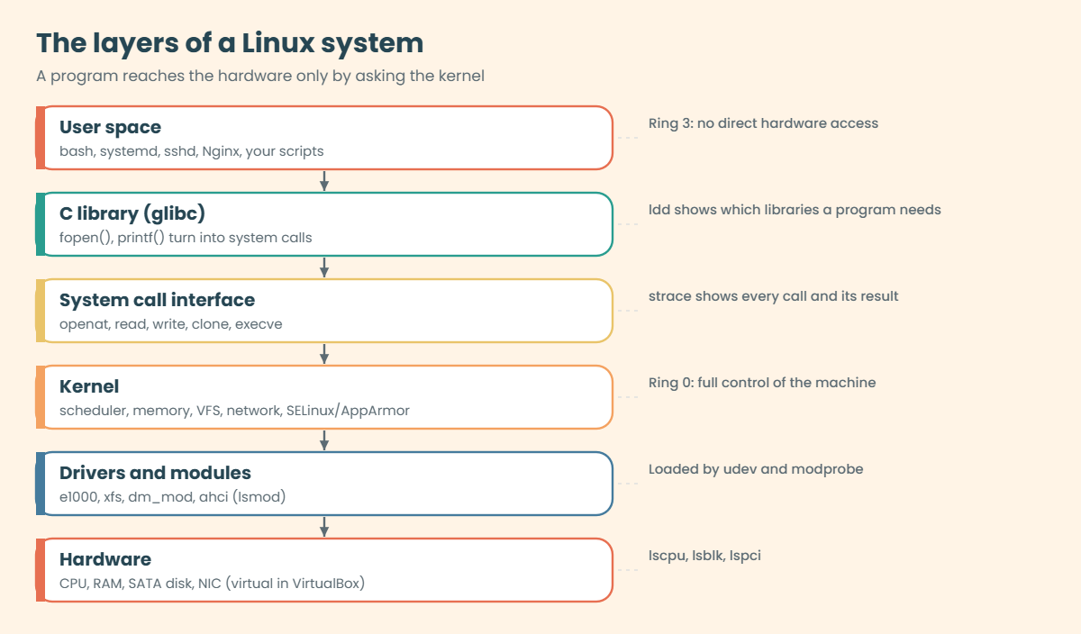 Linux architecture layers: user space, C library, system calls, kernel, modules and hardware