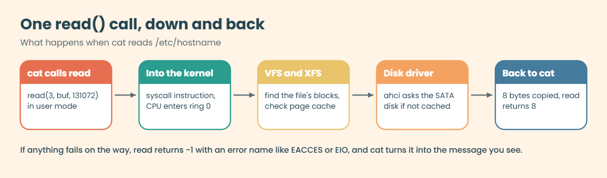 Linux architecture: path of one read system call from cat to the disk and back