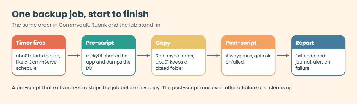 Linux backup agent job flow: timer, pre-script, copy, post-script and report