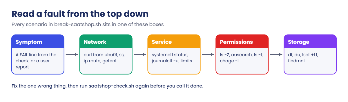 Linux final project: reading a fault from the top down
