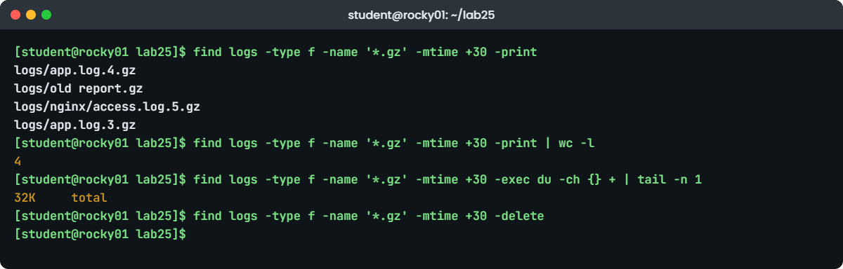 Linux find command lab: dry run with -print, count and size, then -delete on rocky01