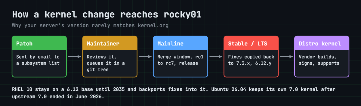 Linux kernel history today: how a patch travels from a developer to your server