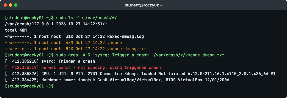 Linux kernel panic lab: vmcore-dmesg.txt and the dump folder on rocky01
