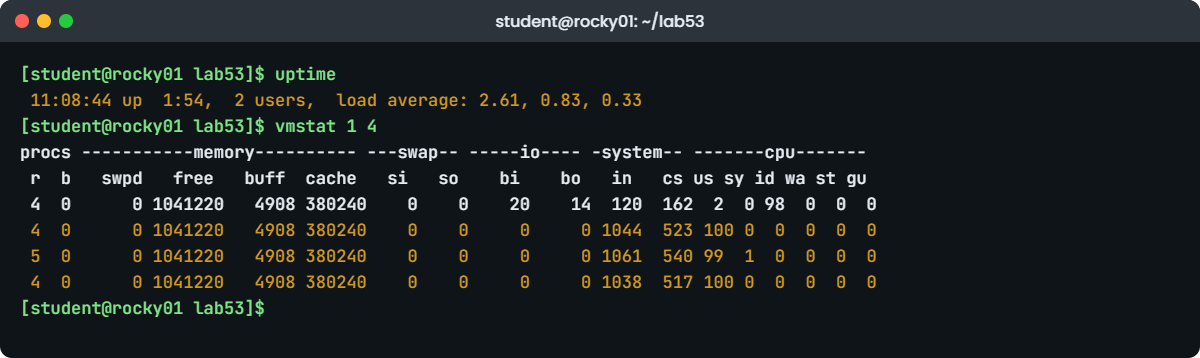 Linux performance monitoring lab: vmstat showing a run queue of 4 on rocky01