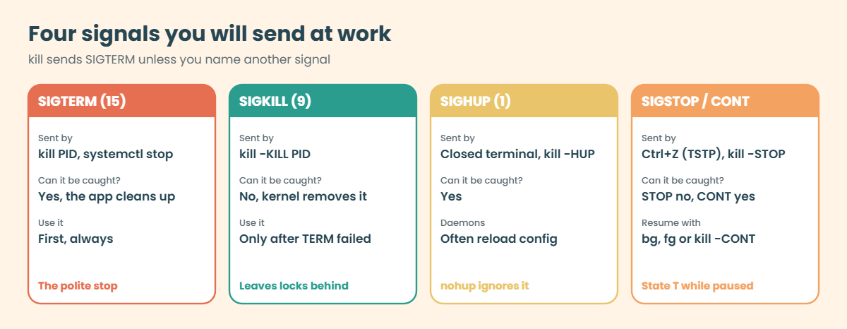 Linux process management: SIGTERM, SIGKILL, SIGHUP and SIGSTOP compared