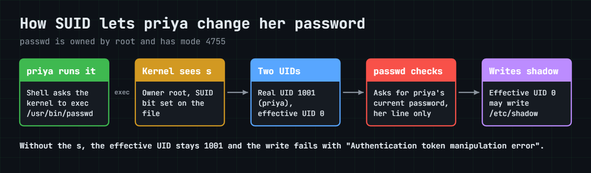 Linux special permissions: how SUID lets passwd write /etc/shadow