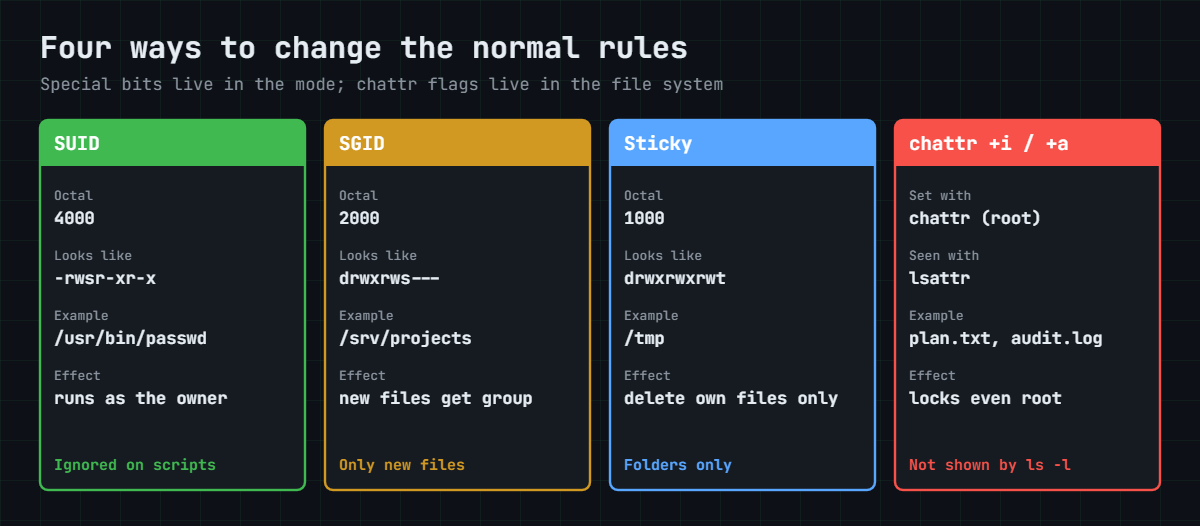 Linux special permissions: SUID, SGID, sticky bit and chattr compared