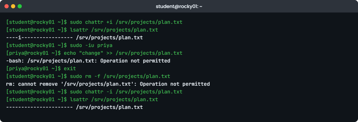 Linux special permissions lab: chattr +i and lsattr on rocky01