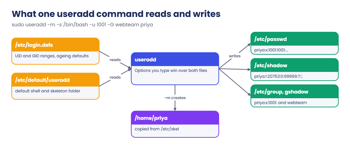 Linux user management: what useradd reads and writes
