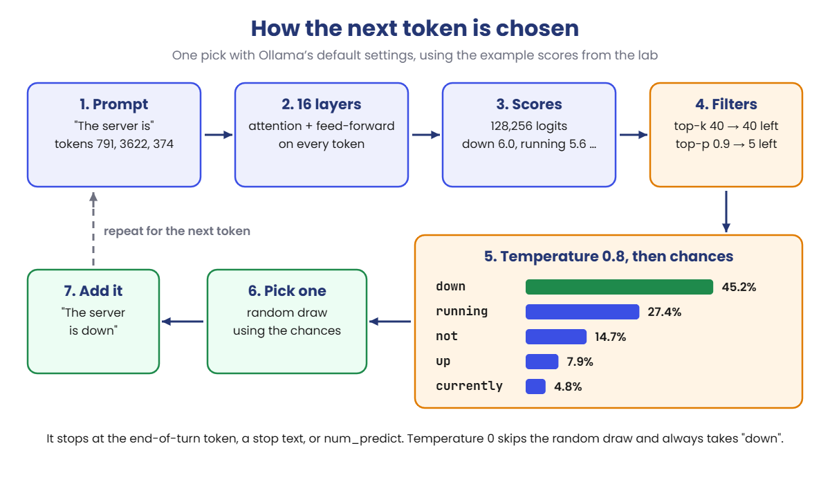 LLM temperature and top-p: the steps a model takes to choose the next token