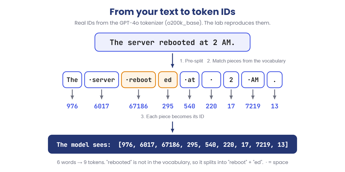 LLM tokenization steps: a sentence split into tokens and turned into token IDs