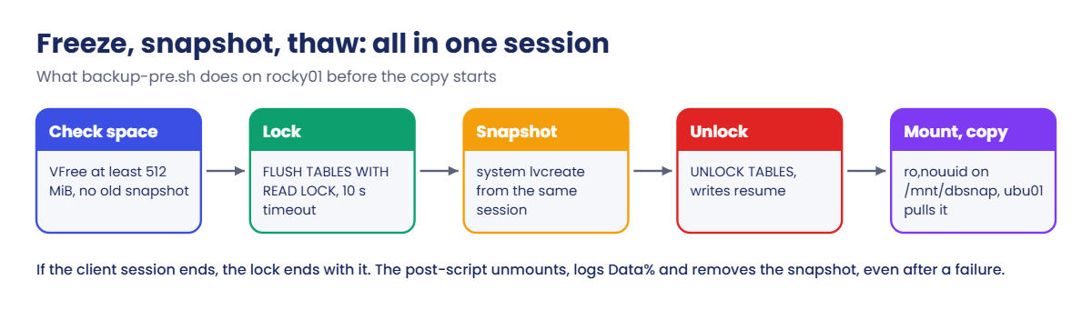 MySQL LVM snapshot backup flow: check space, lock, snapshot, release, mount and copy