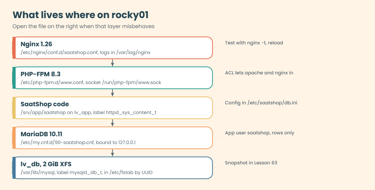 Nginx MariaDB Linux: what lives where on rocky01, from Nginx config to the lv_db volume