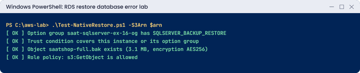 RDS restore database error lab output: Test-NativeRestore checklist