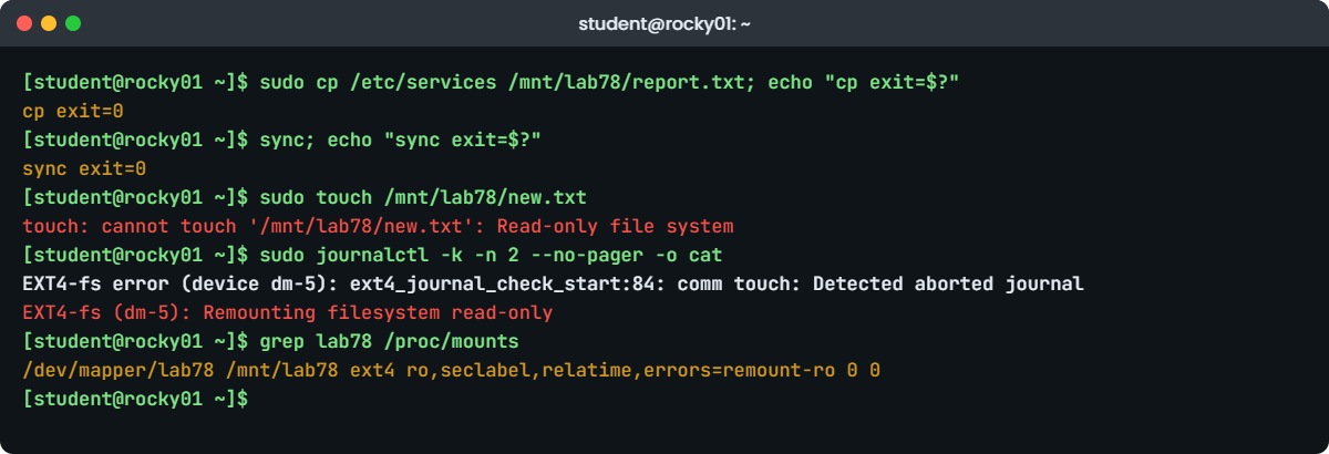 Read-only file system Linux lab: touch fails after the test disk errors on rocky01