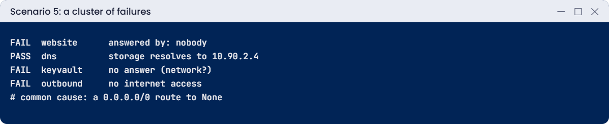Scenario 5 test output with several related failures