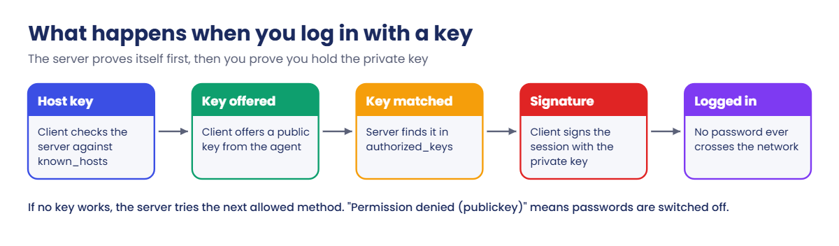 SSH key authentication steps: host key check, key offer, signature and password fallback