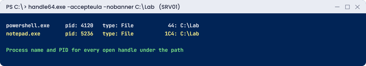 Sysinternals lab: Handle shows which process has files open