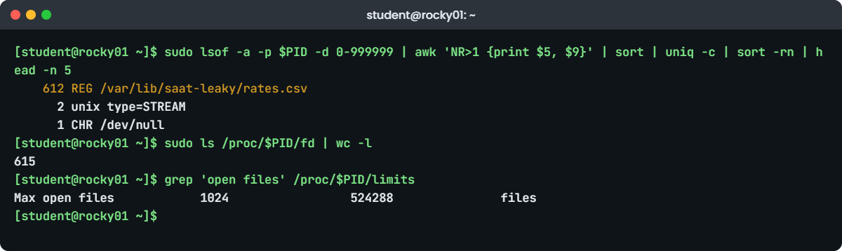 Too many open files lab: lsof showing hundreds of copies of one file on rocky01