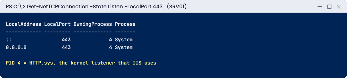 Windows network troubleshooting lab: port 443 listener owned by System on SRV01