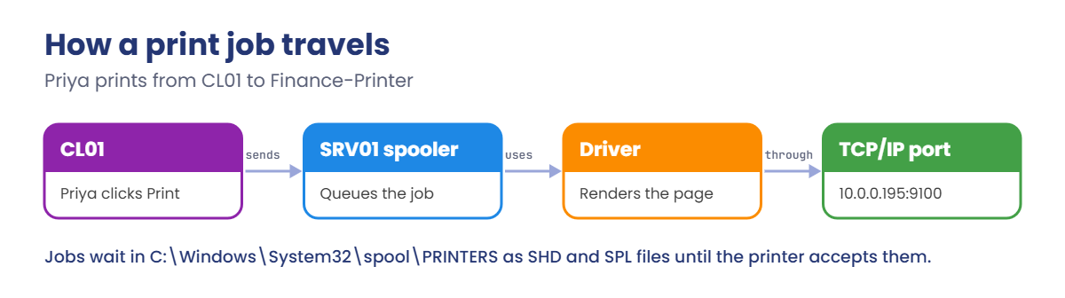 Windows print server: a print job goes from the client to the spooler, driver and TCP/IP port