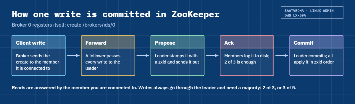 ZooKeeper quorum: how one write is committed by the leader and a majority